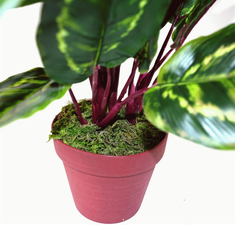 Artificial Medium Calathea Veitchiane Plant
