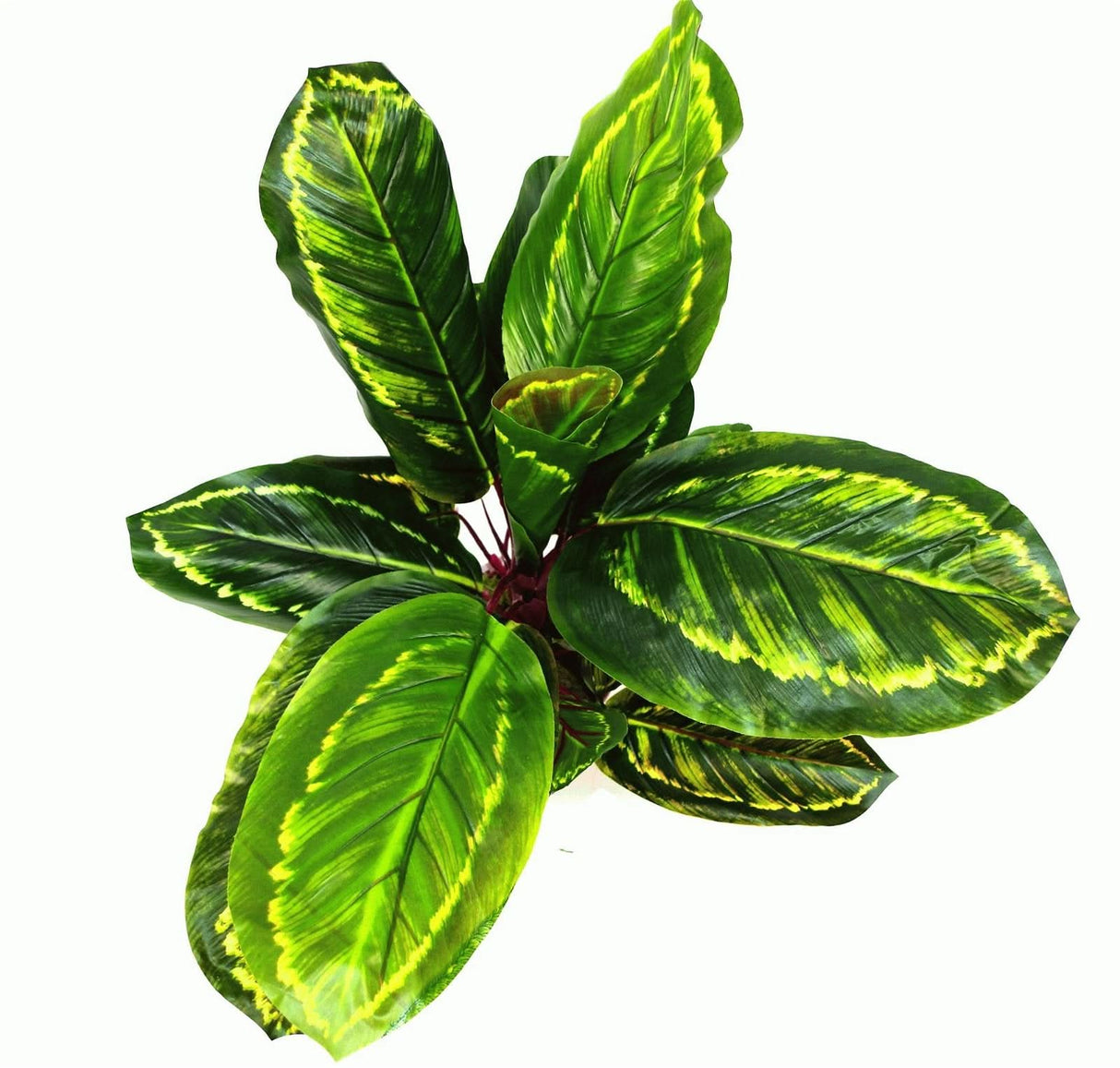 Artificial Medium Calathea Veitchiane Plant