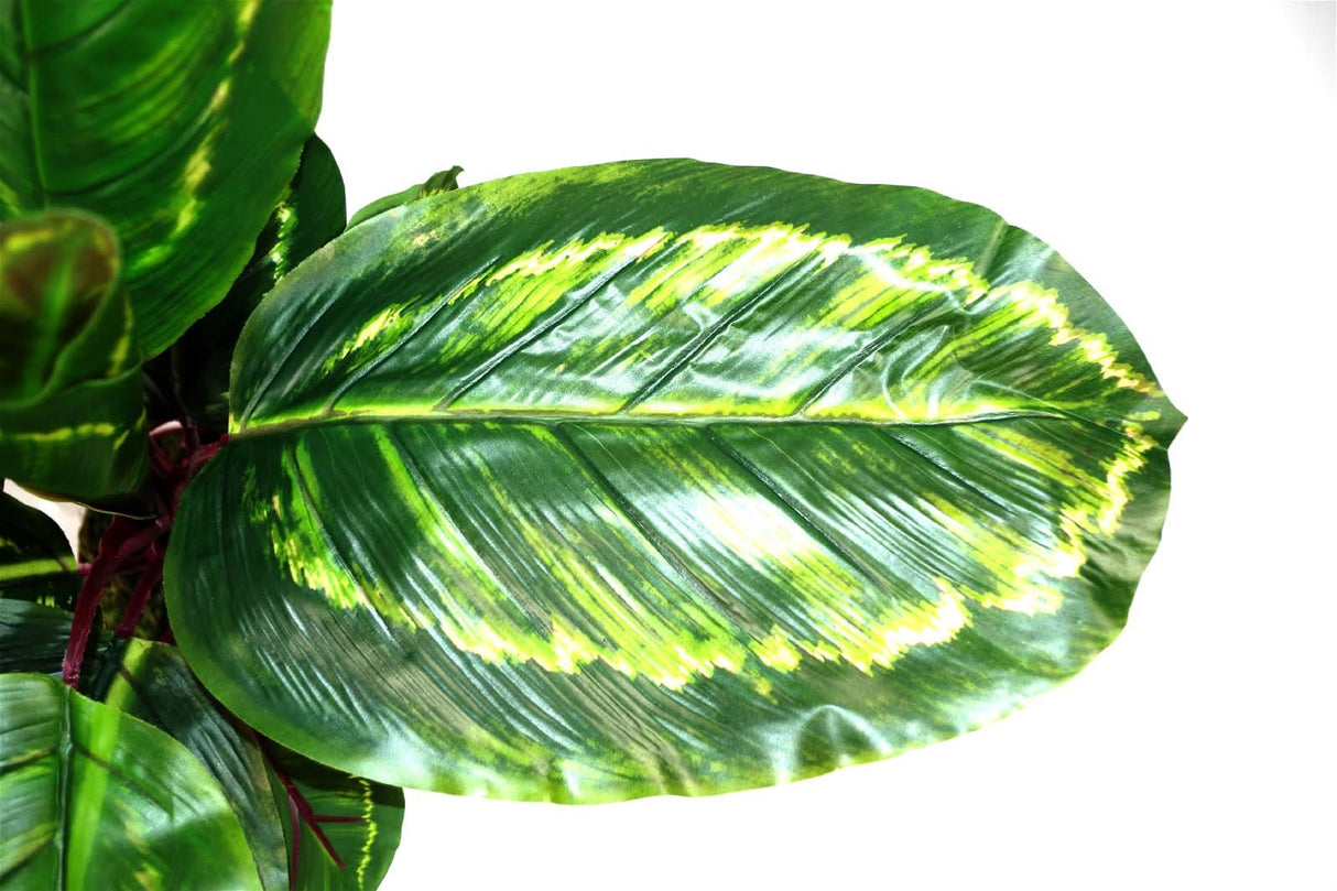 Artificial Medium Calathea Veitchiane Plant