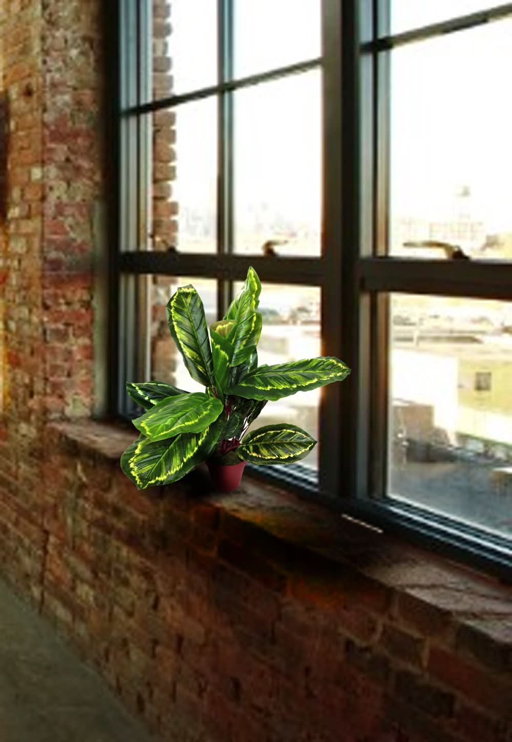 Artificial Medium Calathea Veitchiane Plant