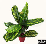 Artificial Medium Calathea Veitchiane Plant