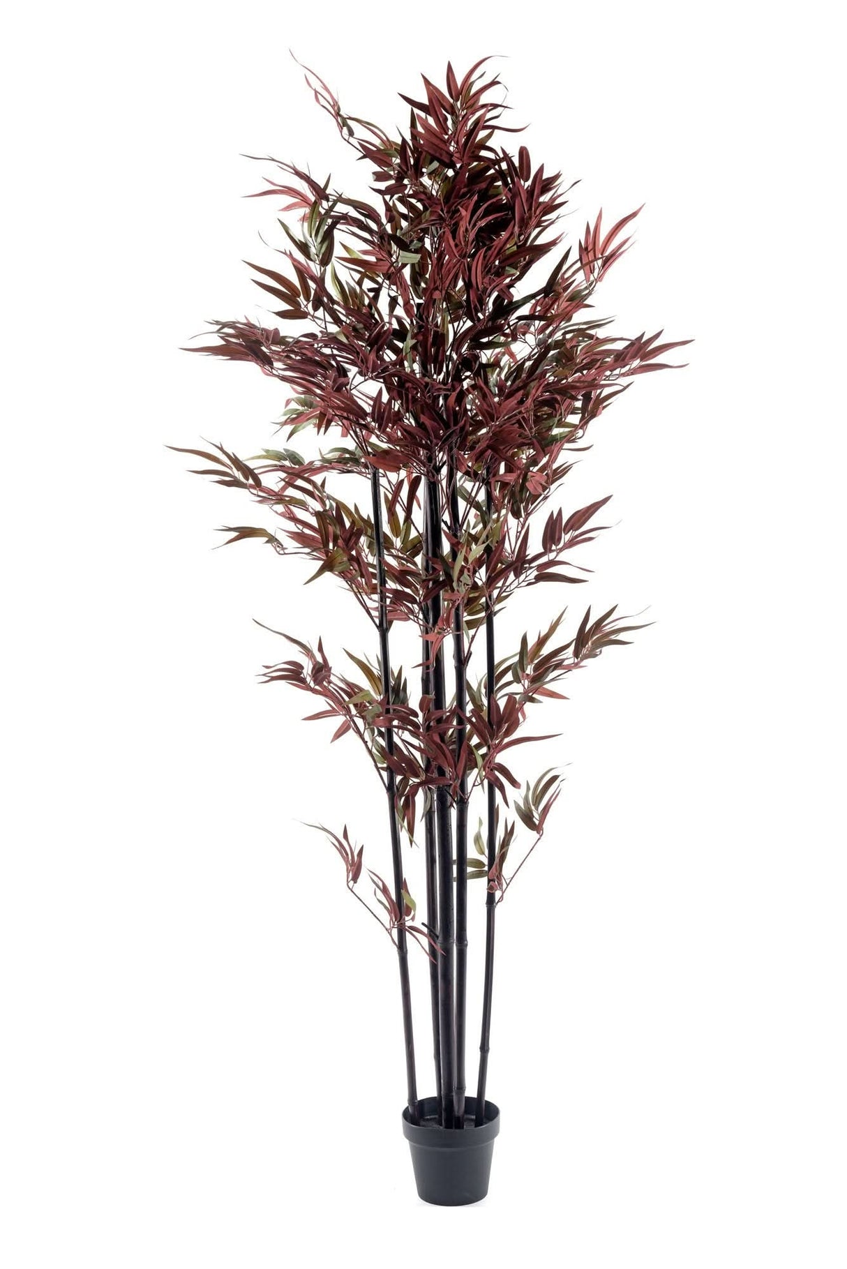 Bamboo Tree – Red & Green