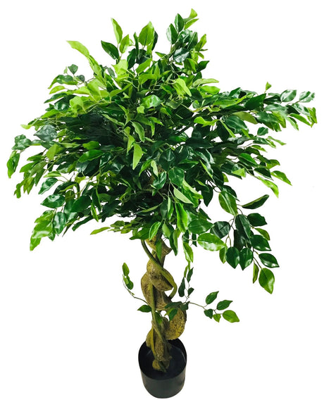 Artificial Ficus Tree with Twisted Trunk