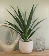 Artificial Yucca Plant