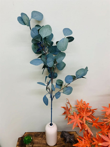Blue Eucalyptus Stem