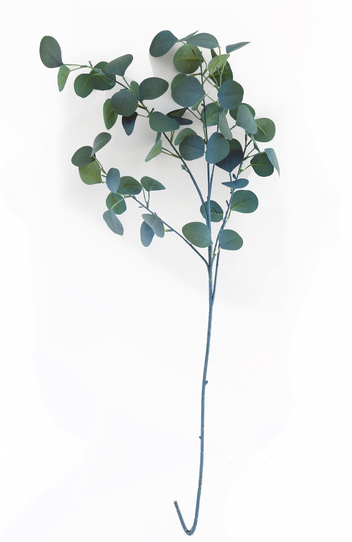 Blue Eucalyptus Stem