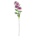 70cm Pink Carnation Display with Glass Vase