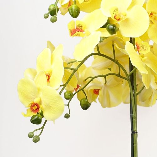 60cm Artificial Orchid in Black Ceramic Planter