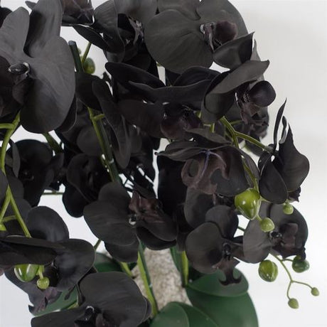 60cm Artificial Orchid – Black & White Ceramic Planter