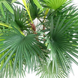 Artificial Fan Palm Tree – 90cm