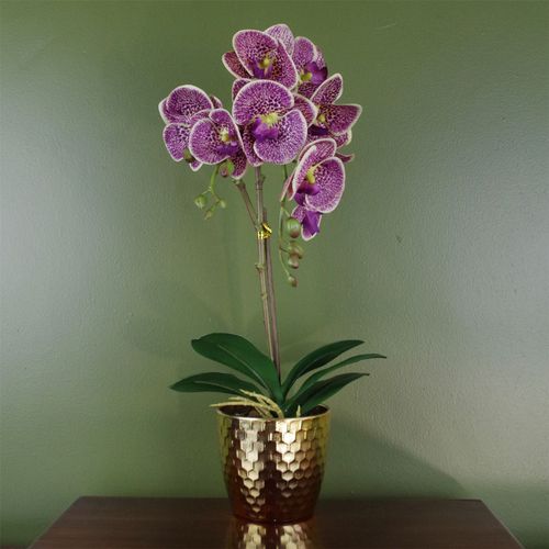 50cm Phalaenopsis Orchid Artificial Purple Leopard Gold Pot