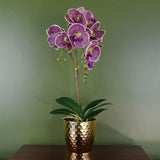50cm Phalaenopsis Orchid Artificial Purple Leopard Gold Pot
