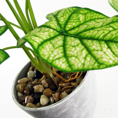 Artificial Taro Plant in Decorative Planter