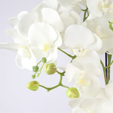 80cm Large Orchid White Artificial 41 REAL TOUCH flowers