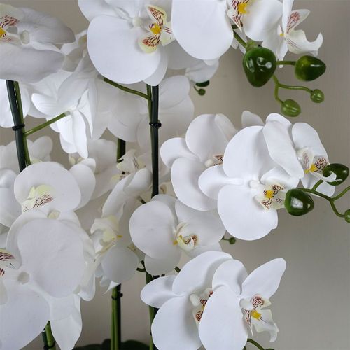 Artificial White Orchid – 60cm