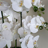 Artificial White Orchid – 60cm