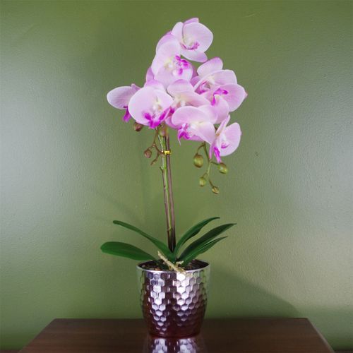 Artificial Phalaenopsis Orchid – Light Pink (50cm)
