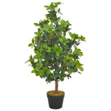 Artificial Laurel Tree with Pot