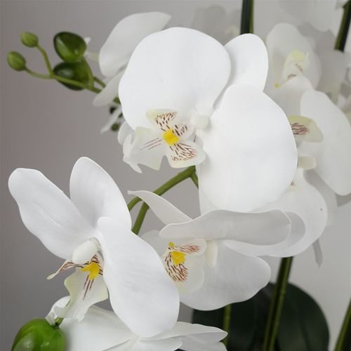 Artificial White Orchid – 60cm