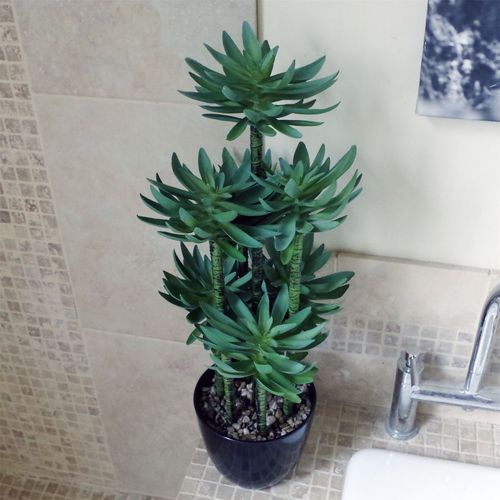 60cm Artificial Tropical Yukka Palm in Planter