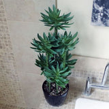 60cm Artificial Tropical Yukka Palm in Planter