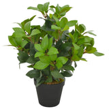 Artificial Laurel Tree with Pot
