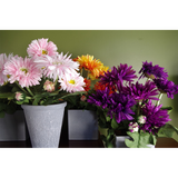 Artificial Potted Daisy Flowering Plant – Yellow