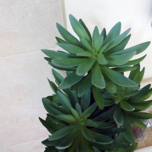 60cm Artificial Tropical Yukka Palm in Planter