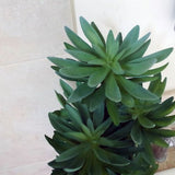 60cm Artificial Tropical Yukka Palm in Planter