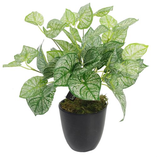 40cm Artificial Caladium Plant with Pot