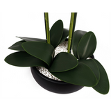 Artificial White Orchid – 60cm