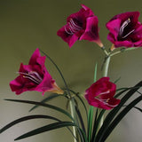 Artificial Amaryllis Flowering Plant – Pink
