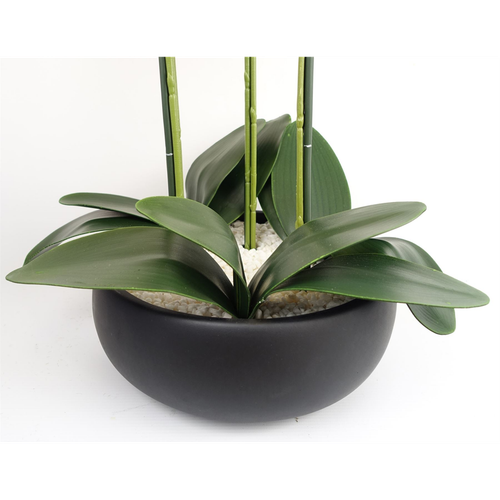 Artificial White Orchid – 60cm