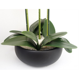 Artificial White Orchid – 60cm