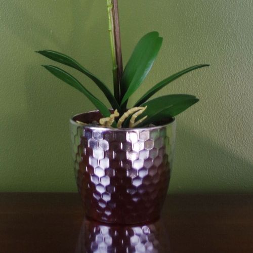 Artificial Phalaenopsis Orchid – Light Pink (50cm)