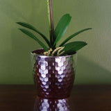 Artificial Phalaenopsis Orchid – Light Pink (50cm)