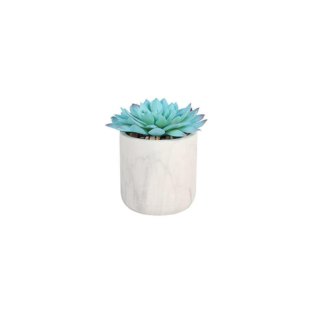 Artificial Blue Succulent in White Pot