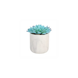 Artificial Blue Succulent in White Pot