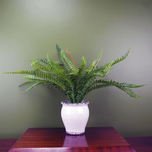 40cm Artificial Bushy Fern in Decorative Planter