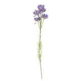 80cm Purple Chrysanthemum Arrangement with Vase