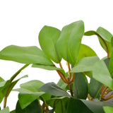 Artificial Laurel Tree with Pot