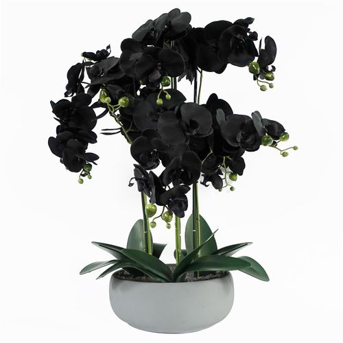 60cm Artificial Orchid – Black & White Ceramic Planter