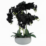 60cm Artificial Orchid – Black & White Ceramic Planter