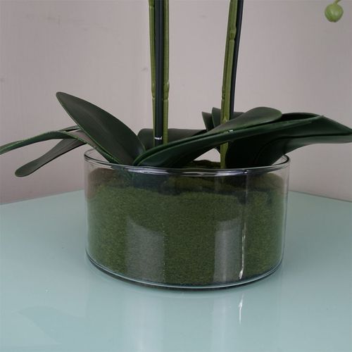 50cm Artificial Orchid with Glass Planter – White