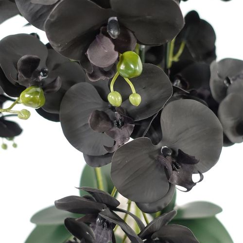 60cm Artificial Orchid – Black & White Ceramic Planter