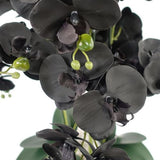 60cm Artificial Orchid – Black & White Ceramic Planter