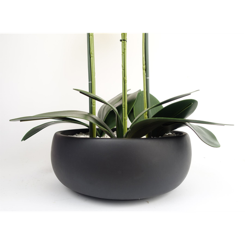 60cm Artificial Orchid in Black Ceramic Planter