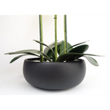 60cm Artificial Orchid in Black Ceramic Planter