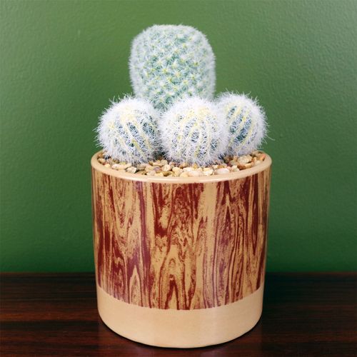 20cm Artificial Cactus Plant Arrangement