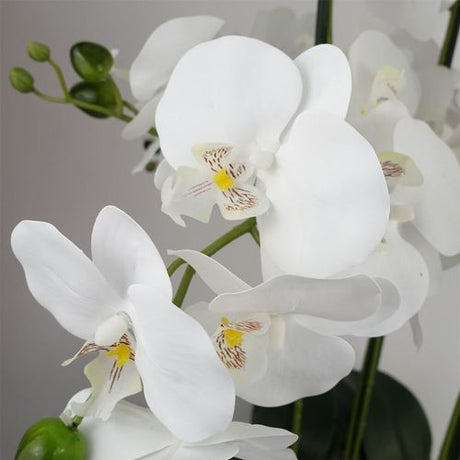 50cm Artificial Orchid with Glass Planter – White